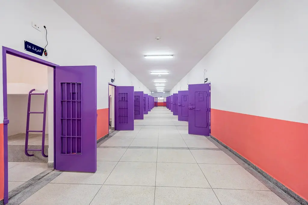 Morocco’s Rehabilitation Program for Inmates Is ‘Role Model’ for Other Countries