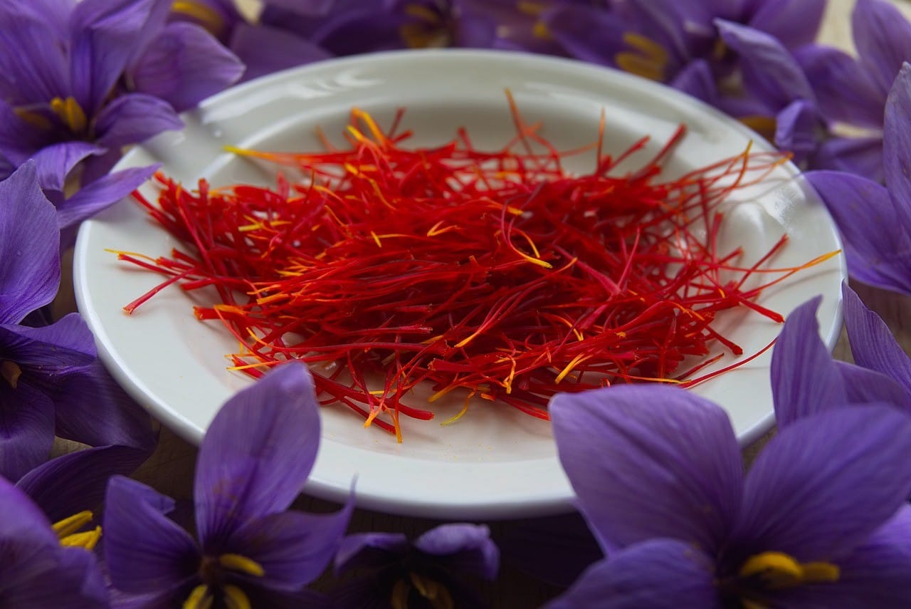 Morocco’s Saffron Production Expected to Reach 6 Tons in 2024, Up from 5 Tons in 2023