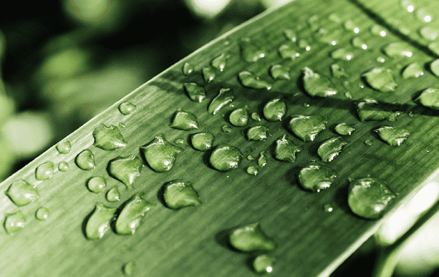 New Weather Alert Forecasts Stormy Rainfalls To Hit Several Provinces Across Morocco