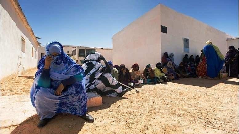 NGOs Urge Algeria to Take Immediate Action to Protect Sahrawis Rights in Tindouf