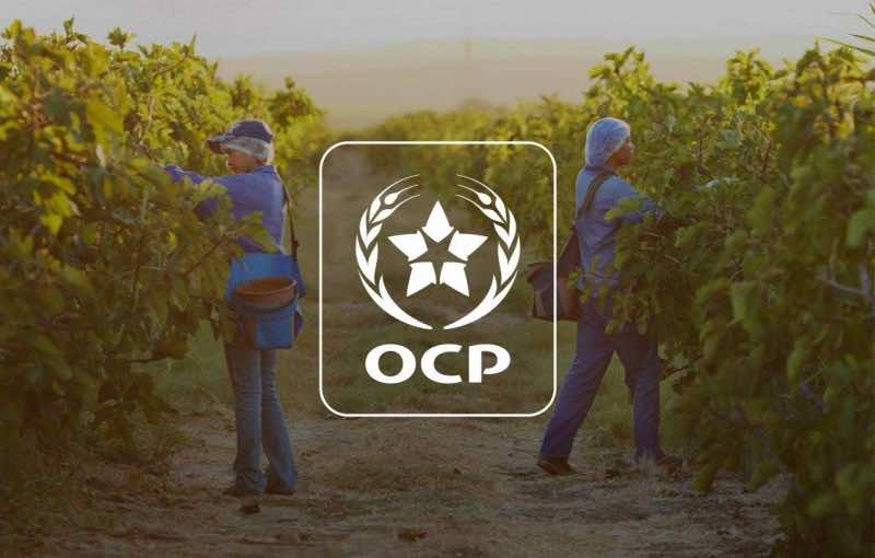 OCP Foundation to Support Biodiversity Programs in Dakar