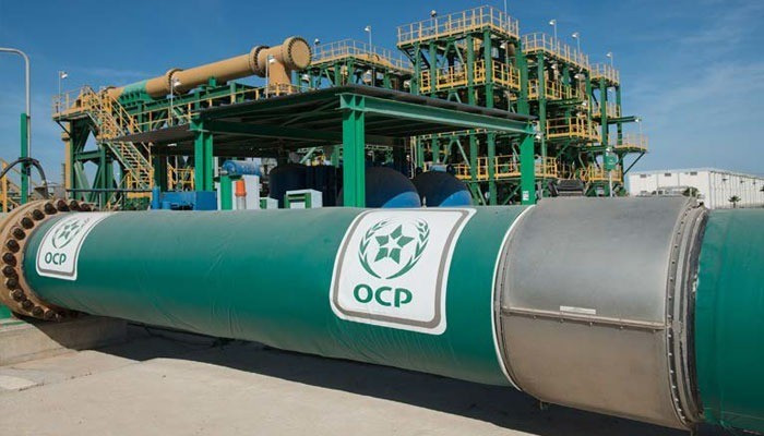 OCP to Invest $7 Billion in Green Ammonia Plant in Southern Morocco