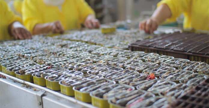 Morocco Produces Half of All Canned Sardines Worldwide