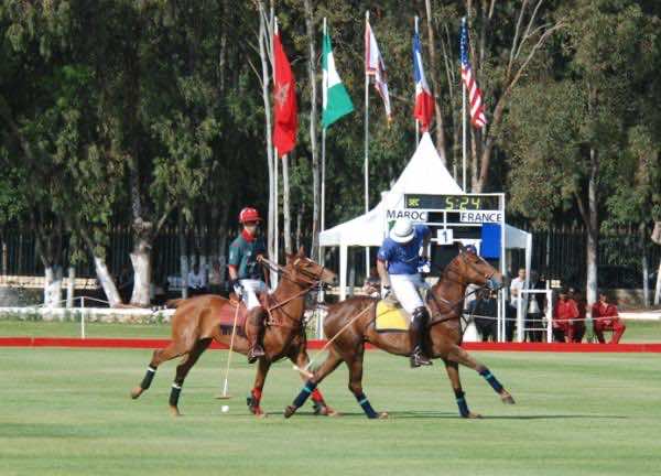Polo as a niche Tourism Product for Morocco