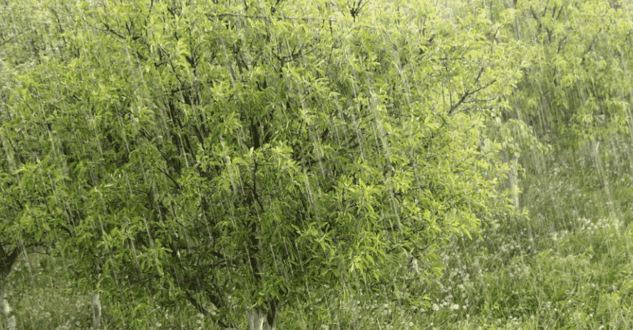 Morocco’s Weather Office Forecasts Snow, Strong Rainfall Sunday and Monday