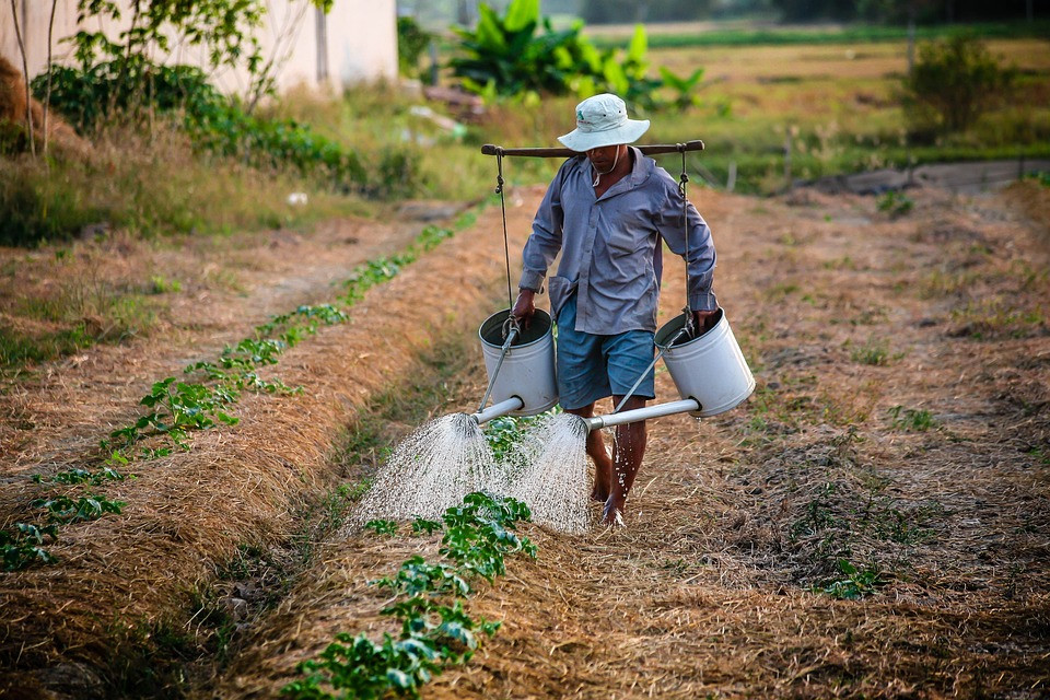 Report: Farmers Disregard Morocco’s Public Regulations on Water Management