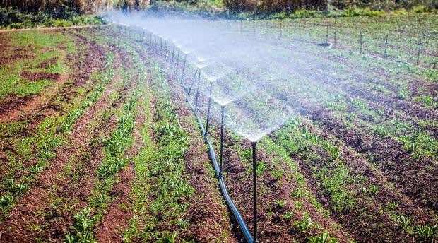 Saudi Arabia Looks to Invest in Morocco’s Agriculture Sector