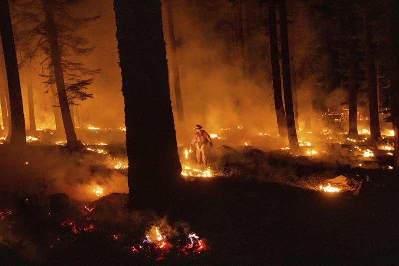 Scientists Report July was the Hottest Month Ever Recorded