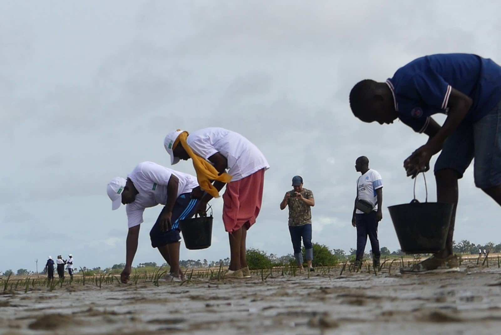 Senegal: OCP Foundation Committed to Coastal Biodiversity