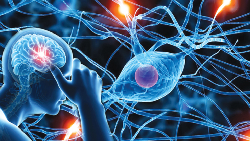 Study Indicates Neurological Pathologies Are the Main Source of Health Problems