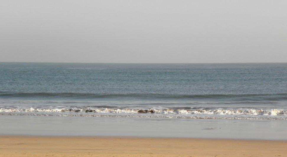 Mohammadia’s Miramar Beach Polluted by Blackish Liquid