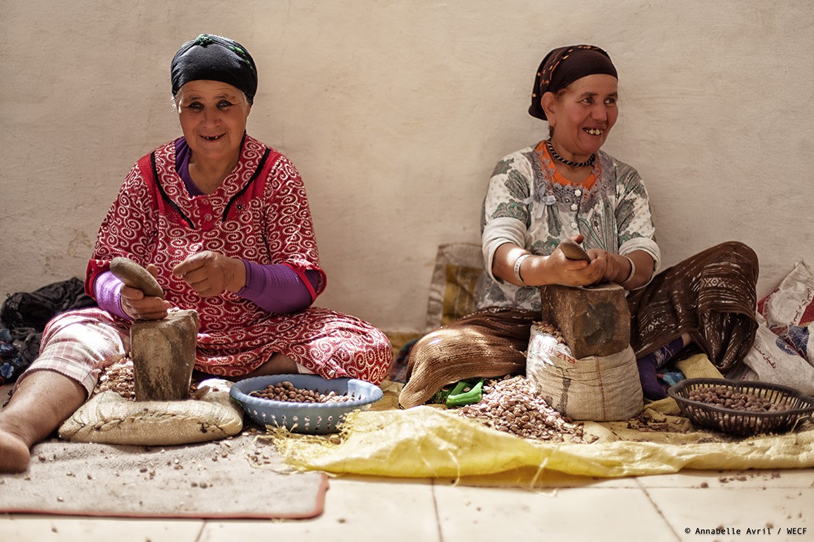 The ‘Blessed Tree’: Morocco’s Miracle Argan Oil