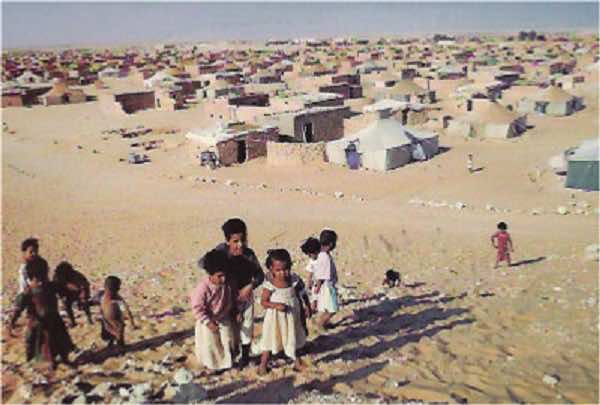 European Parliament Calls on EU to Adapt Aid to Real Needs Of Population In Tindouf