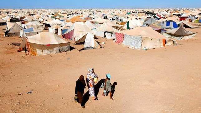 Tindouf Refugees in Spain Voice Support for Morocco’s Autonomy Plan