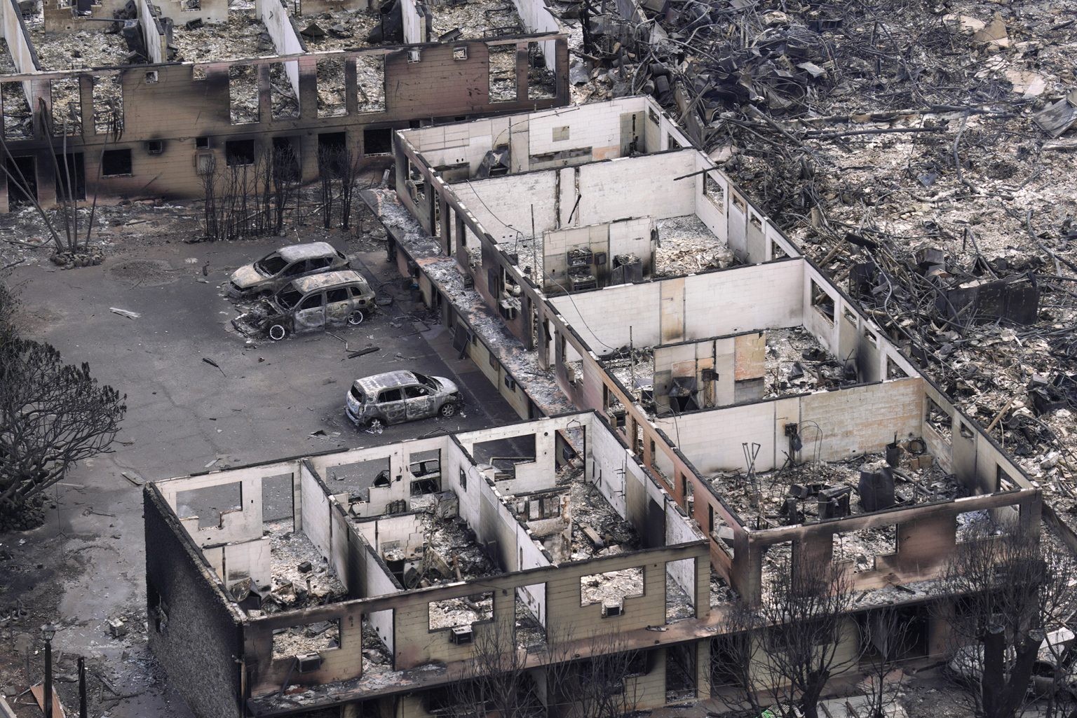 Tragedy Strikes Maui: Wildfires Claim 55 Lives, Years of Recovery Ahead