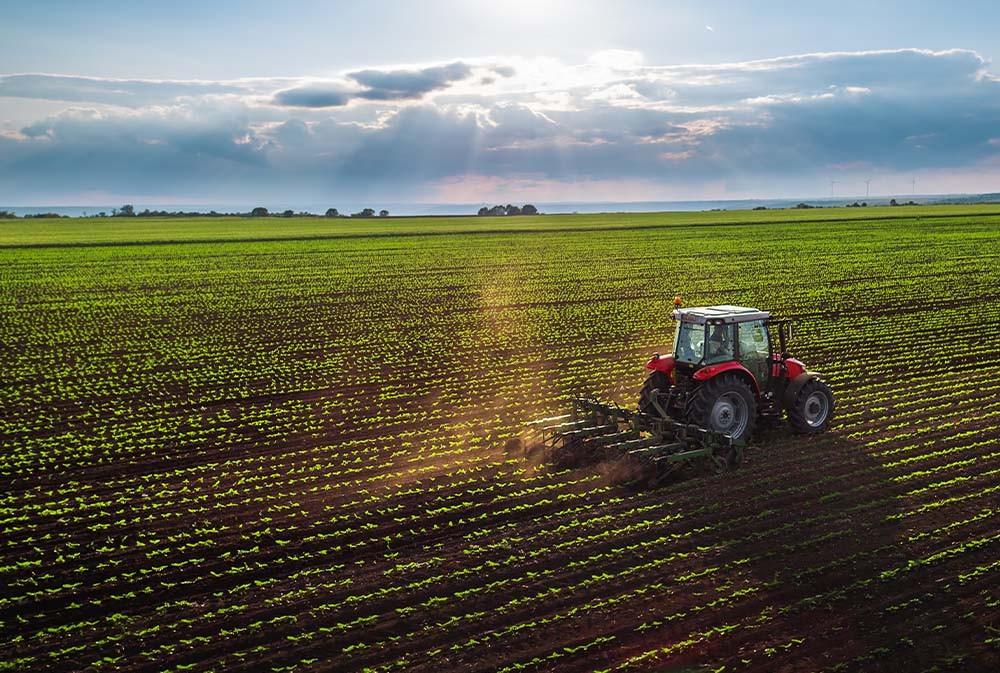 UK MPs Call On Government to Strengthen Agriculture Trade With Morocco