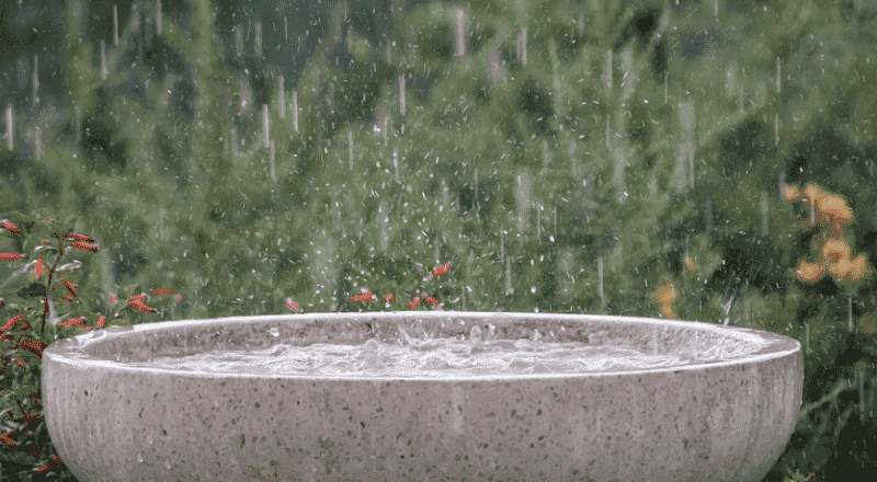 Weather Office Forecasts Rainfall, Strong Wind in Several Moroccan Provinces