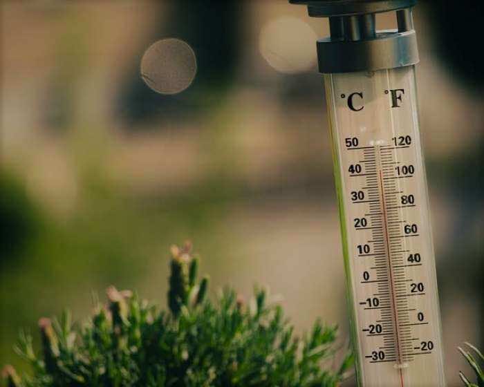 World Meteorological Organization: Heatwaves Are the New Normal