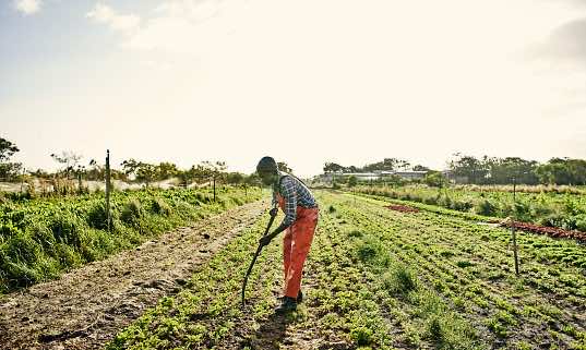 Young African Phosphorus Fellowship Awards Opens Applications for 2022