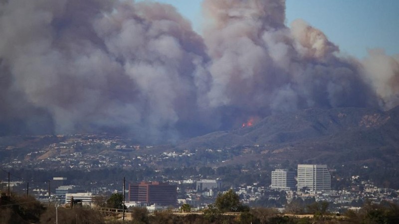 Smoke rising from the Palisades fire, the largest of them all, on the west side of LA. Photo credit: Reuters/Daniel Cole