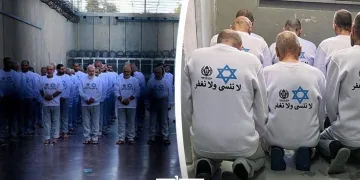 Freed Palestinians Tell Stories of Inhumane Conditions in Israeli Prisons