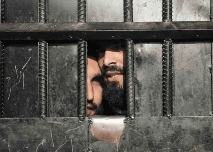 Taliban Bring 17 Afghans Home After Prison Stays in Morocco, Other African-Arab Nations