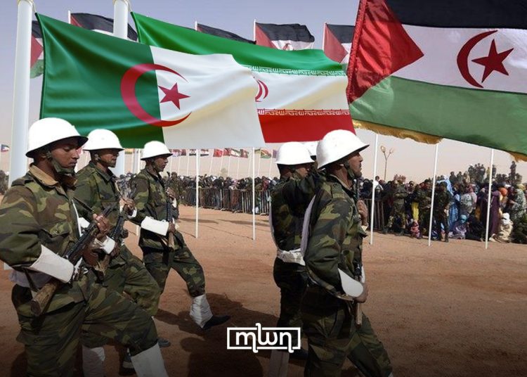 Capture of Polisario militants in Aleppo exposes Iranian training program.
