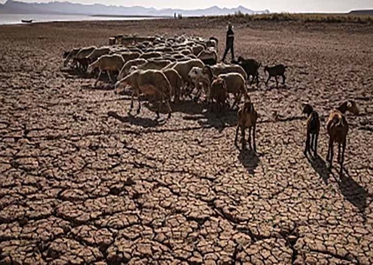 The Court of Accounts urges the government to effectively put in place the "Green Generation" plan and ensure better alignment with national climate objectives.