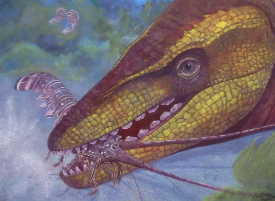 Discovery of an Ancient Marine Reptile with Unique Keel-shaped Teeth in Morocco credits: Wouter Verhesen.
