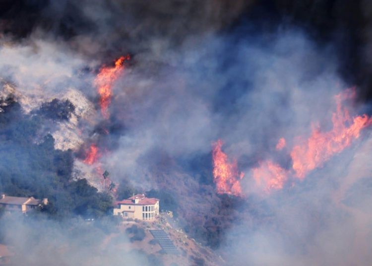LA Wildfires. Photo: AFP