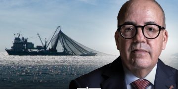 Fish flee from drought? Morocco’s export data exposes minister’s disputed claim.