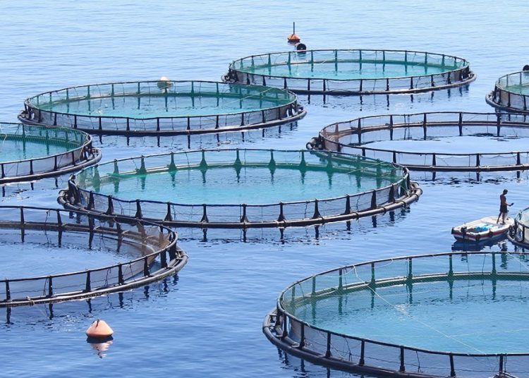Aquaculture farms