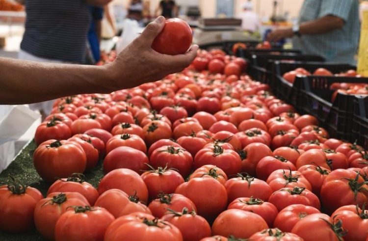 Morocco Doubles Tomato Exports to Ireland; Revenues Hit $7.5 Million
