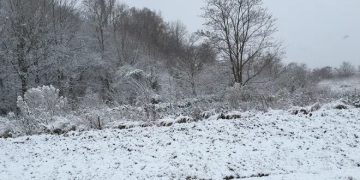 snowfall