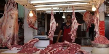 Morocco Tackles Livestock Shortages to Ensure Steady Meat Supply