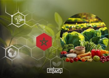 Agriculture in Morocco is about more than food supply.