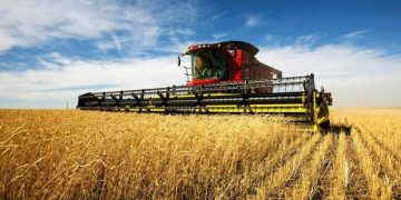Russia to Increase Grain Exports to Morocco to 1.5 Million Tonnes