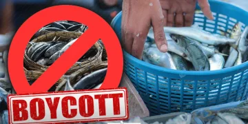 Social Media Activists Call for Sardines’ Boycott over Prices Controversy
