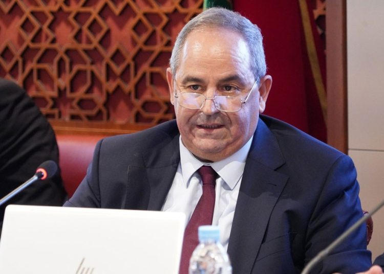 El Midaoui: Symbolic Fees for Employees Will Not Undermine Free Education