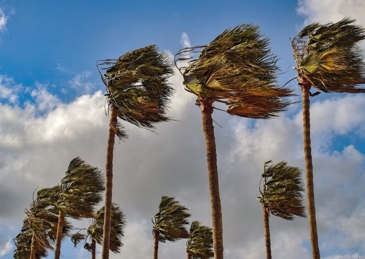 Strong wind