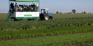 Morocco pioneers African regenerative farming