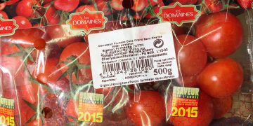 New unified inspection system targets agricultural imports at Spain’s largest port.