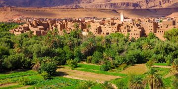 Morocco’s ancient oasis farming collapsing as youth flee to cities.
