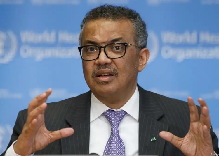 Yemen Morocco World News