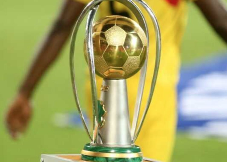 CAF says that the host countries have made "good progress" in preparing stadiums for CHAN