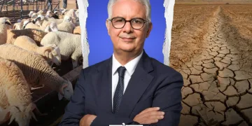 Rabat – Moroccan Minister of Equipment and Water, Nizar Baraka, is facing intense criticism following his recent appearance on the political TV show “Nokta Ila Satr” on Al Aoula, where he made what some commentators deemed as “corrupt” remarks about sheep prices.