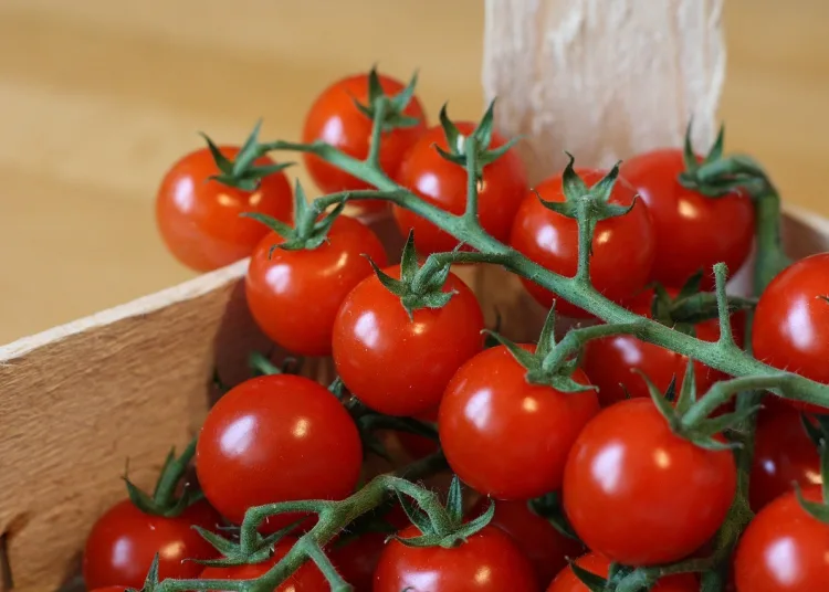 Tensions have been high between marketers from both sides, with French producers complaining about Moroccan tomatoes as they cannot compete with the prices they are sold at.