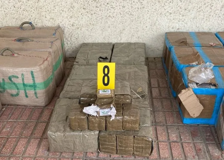 Moroccan Police Seize Over One Ton of Cannabis in Major Drug Bust