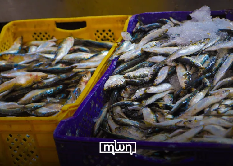 Morocco activates 5757 consumer hotline as Ramadan price concerns mount. Photo: MWN