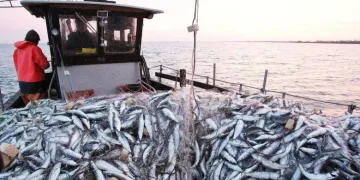 morocco fisheries